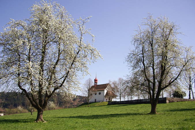 Mülihof Alberswil 2